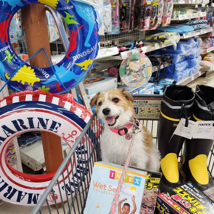 8f78c5fa 17ea 4fb0 b478 7bbca34c2c22 1691650792860