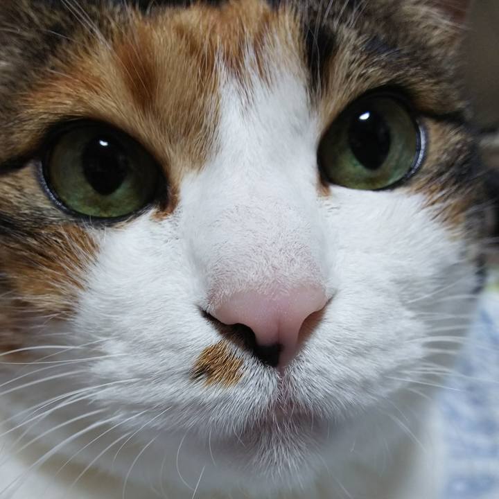 8f78c940 e40a 4cb9 8b60 5a2633cd3c5c 1549110103929