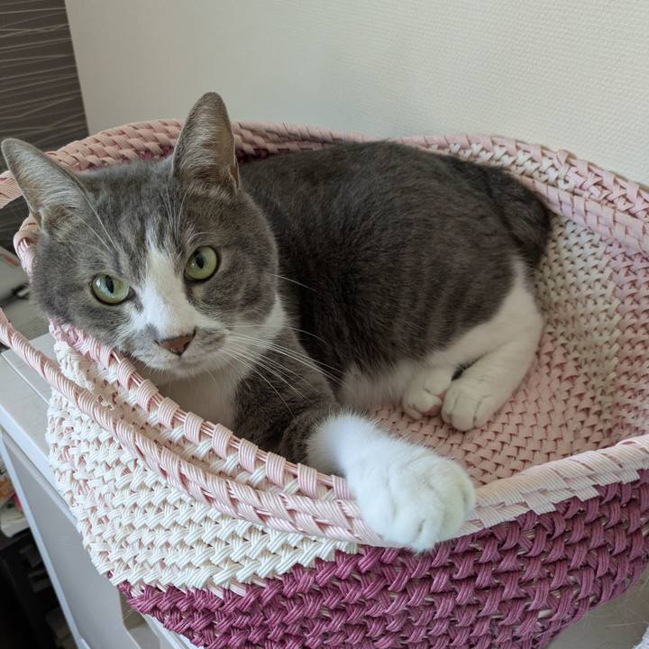 8f78d8e0 d72d 4cbe 8398 6230b861fcc1 1753148961240