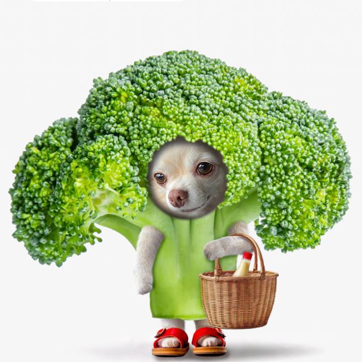 8f78ea84 ad10 4299 9eb5 2261abac308d 1730025791925