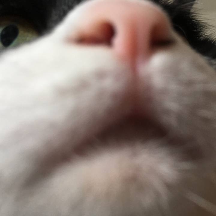 8f791cbd 59b2 45fe a2c7 b0eba6665bef 1571691057474