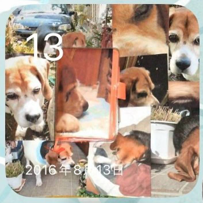 8f795dc0 3dd2 44a9 8060 019027f0eb9f 1723502317271