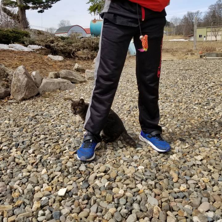 8f796848 1b3c 453b bf5c 5e68a35d8bdf 1587517029710