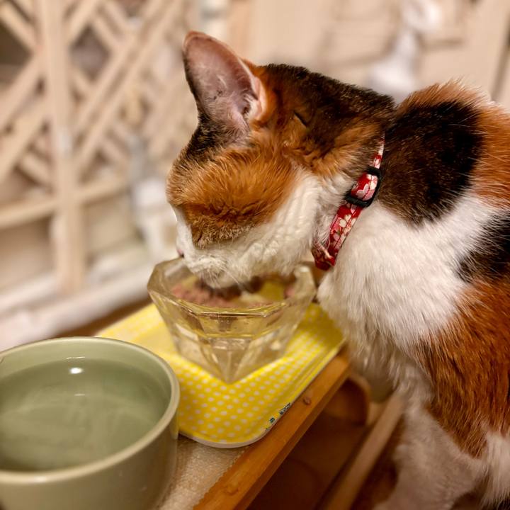 8f79923d 88d4 4dfd a42f 49b7d07bf634 1711541878634