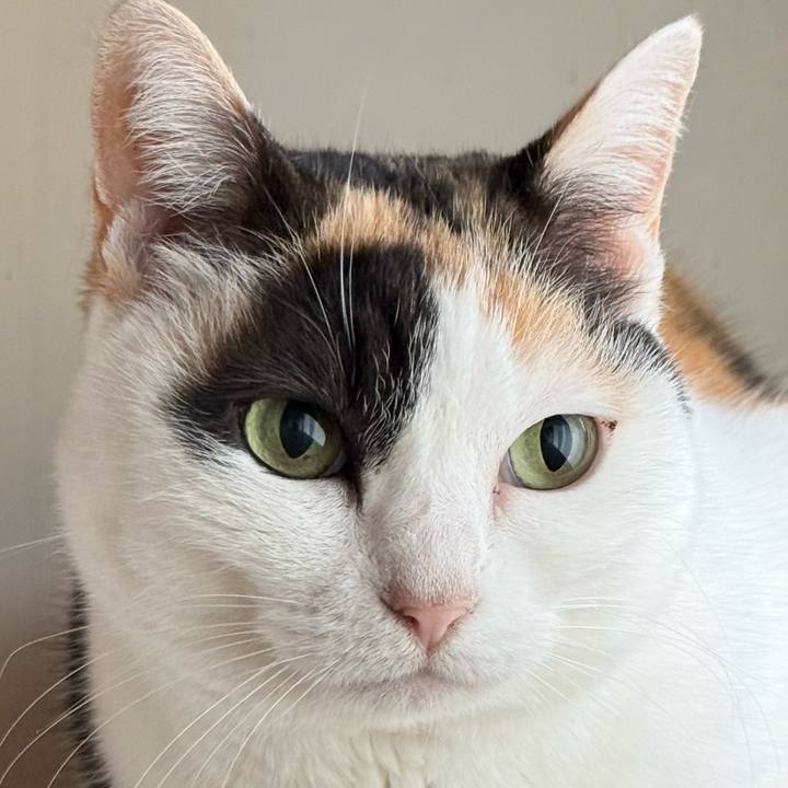 8f79b386 0fdb 4d56 846d 9bd29f593dff 1773108733102