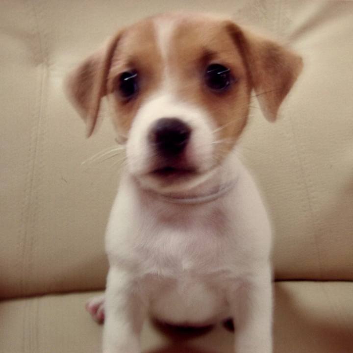 8f79bf8f 3af1 4556 afa7 1d72860ad21a 1515492985833