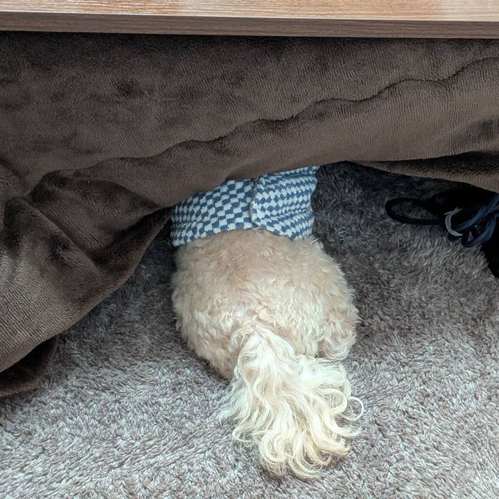 8f7a21b6 39d2 49ec 8db4 2e4c06b0cdc8 1769779413431