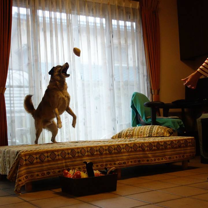 8f7a29d5 40ed 4b70 99bb 37005acce937 1647650566589