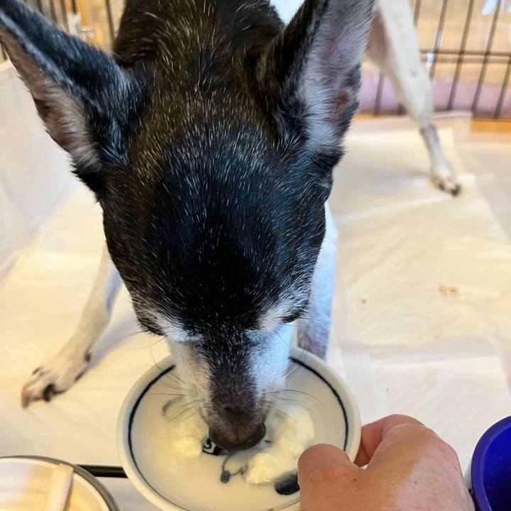 8f7a3635 4afa 4b4a 9526 6208e6f08b70 1659393046371