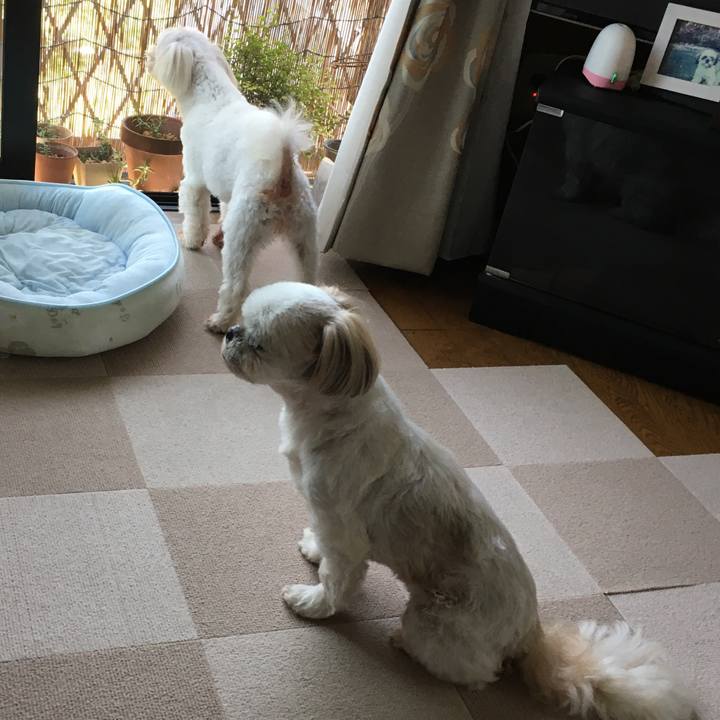 8f7a399a 4127 42d4 bf98 da7ba76a0c96 1623208513029