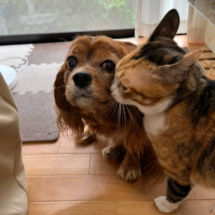 8f7a39fc e695 4000 963f b11fff091651 1696760723554