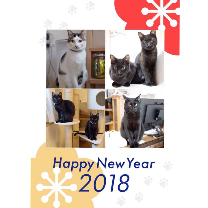 8f7a46e9 d09b 4565 8665 97f5fd194e11 1514733642097