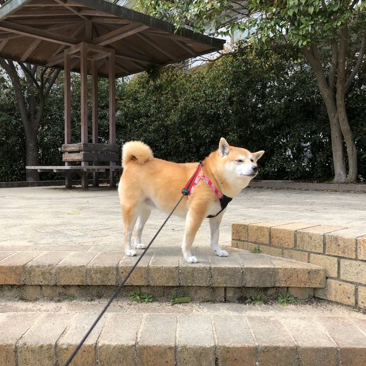 8f7a4e2a 041e 42d2 b23b 1d11220cb7fd 1555026138080