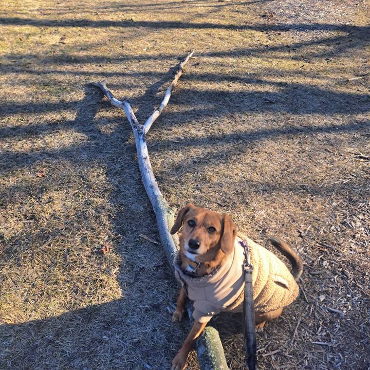 8f7a721b 3bec 4ee0 afe2 a84c2ef6b53f 1774387216788