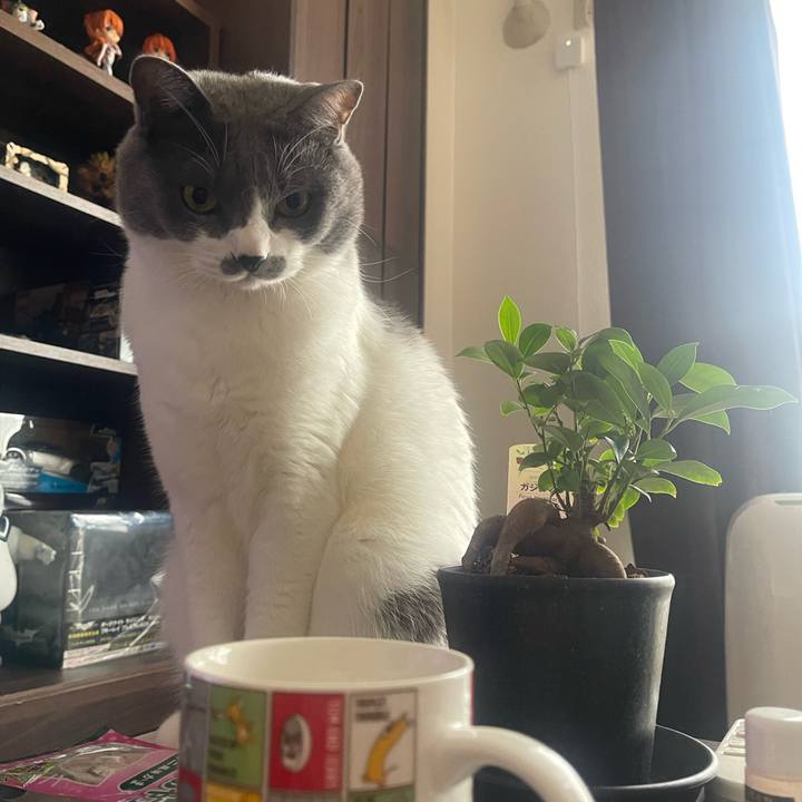 8f7aafc7 46a0 4d2a b0be f2aaeef9e7a7 1697261977795