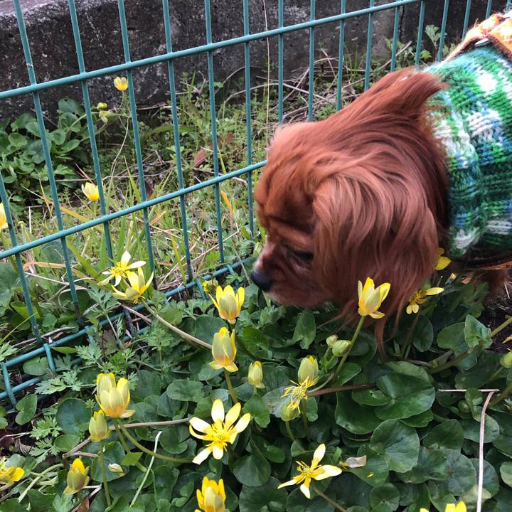 8f7ac0c0 2f2f 490d b0dd bc06c5d097f5 1552734000695