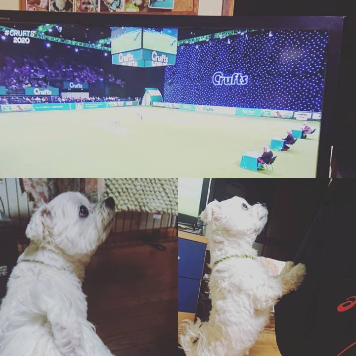 8f7acec5 ecf7 4338 98b4 e2840e267d00 1583413675398