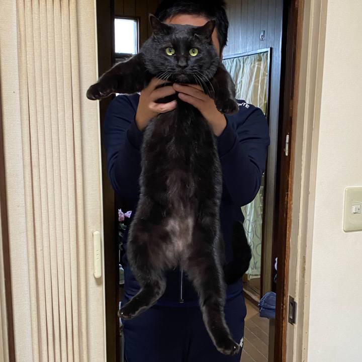 8f7ae79f 1d10 4c76 b053 7d78420320b2 1704723668559