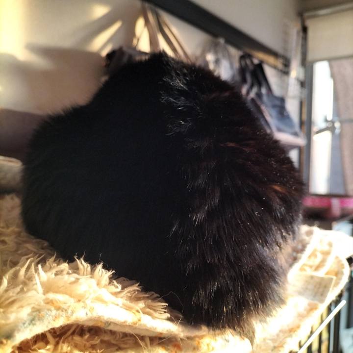 8f7b8bbd ad1f 4c18 9622 eec03c11e7c5 1642373077227