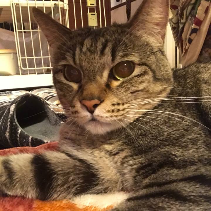 8f7b8c90 0f11 49e8 8ae2 99a07df310e6 1550143617570