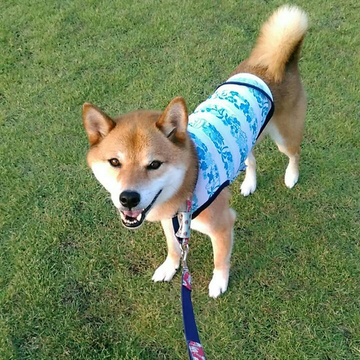 8f7c1415 70b1 4d0e aa2d f31b69a64dd7 1564667720024