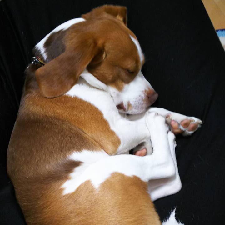 8f7c18b8 0bf1 4717 a8f2 13322f796c2e 1585406223295