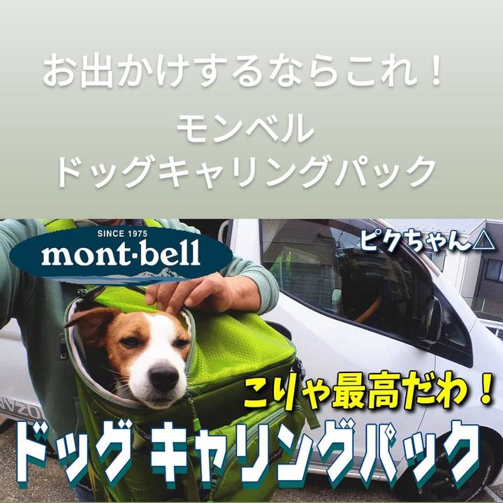 8f7c2191 82fe 464b ad3f 8ad105d77bcf 1667515121422