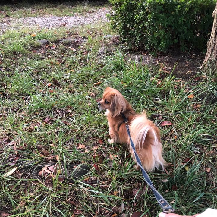 8f7c3c8b 120a 45bd 8b15 c19105ed5252 1540763389428