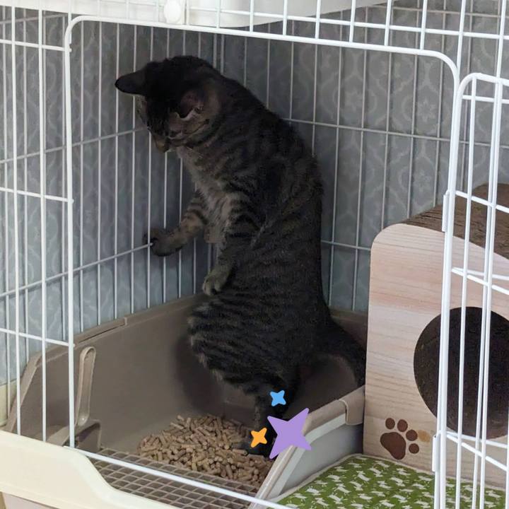 8f7c4861 da2b 4e68 8964 4c857f7ba4d6 1708919005239