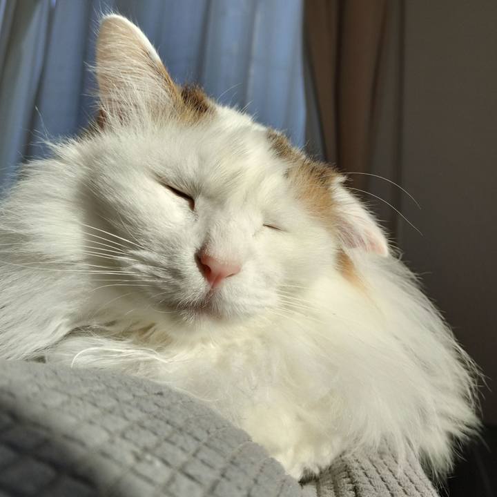 8f7c4b55 e232 4b73 943e 8a9b1a9f37b4 1766983486670