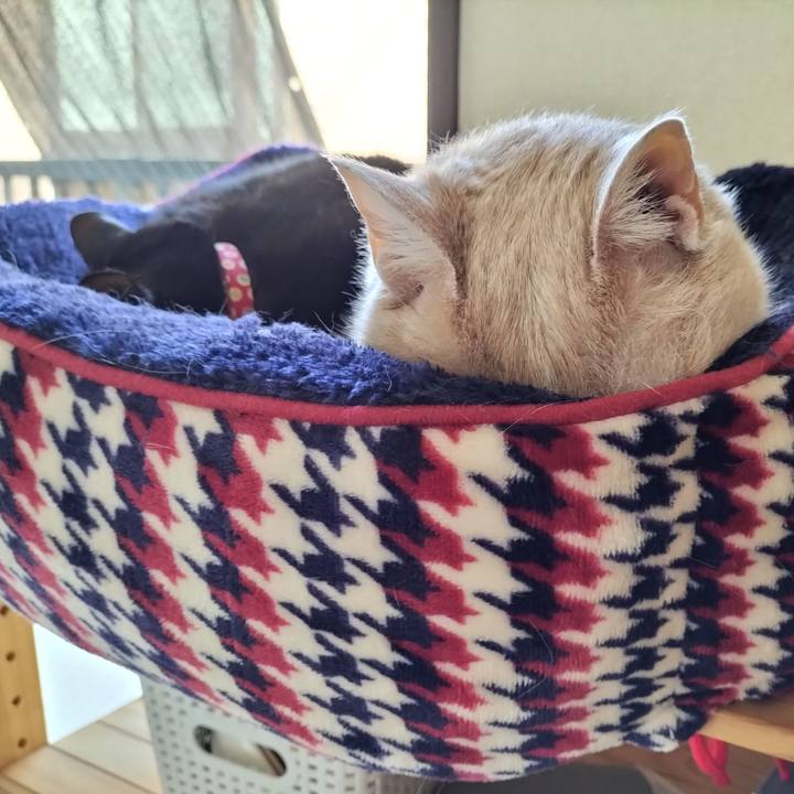 8f7c78a5 07ad 4f9f ad8d 05fbc8f98dfa 1646548161607