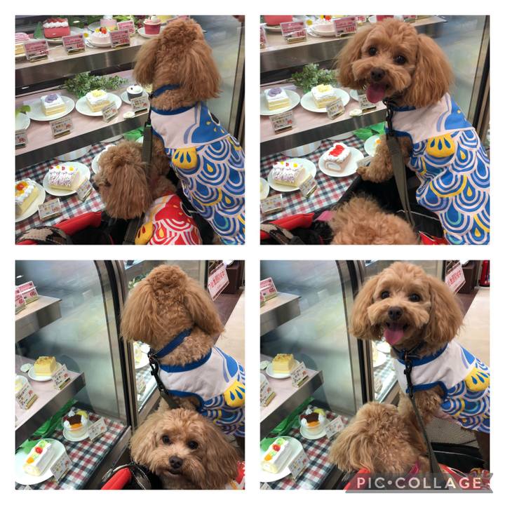 8f7ca636 114f 4c3b 9ff8 0caeb1163c0f 1651674714210