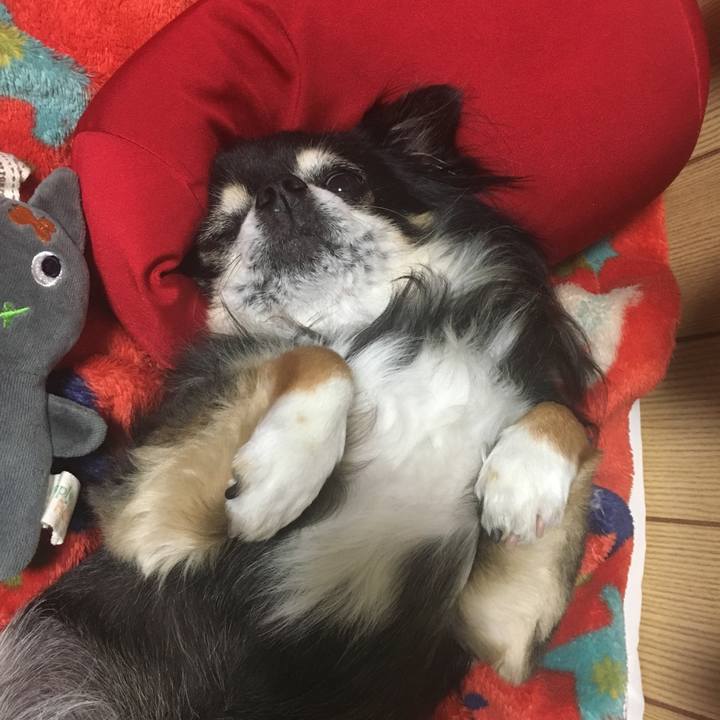 8f7cc65c 85d4 45ae b7a6 b99b6122b493 1507738697495