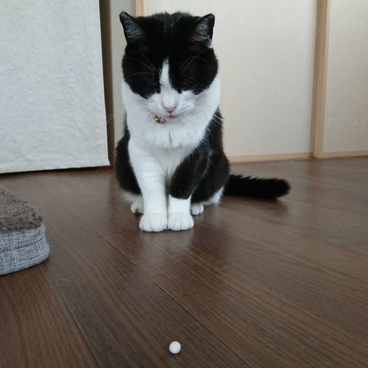 8f7d231c 9790 439b b942 0cc0cb9ce85d 1575018337572