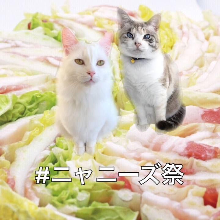 8f7d3b33 7635 4d66 a6a9 0bcd6801fbe9 1544875206492