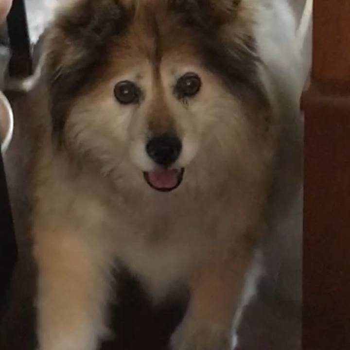 8f7d5ab1 b276 4e95 9bdf 19c0668223ee 1588983711594