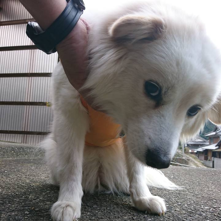 8f7d6723 7f78 4432 b996 a65d0e6934d4 1550029404168