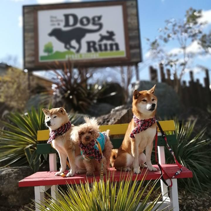 8f7d835f 23bf 4c44 a223 aeb081e6f42f 1645079401215