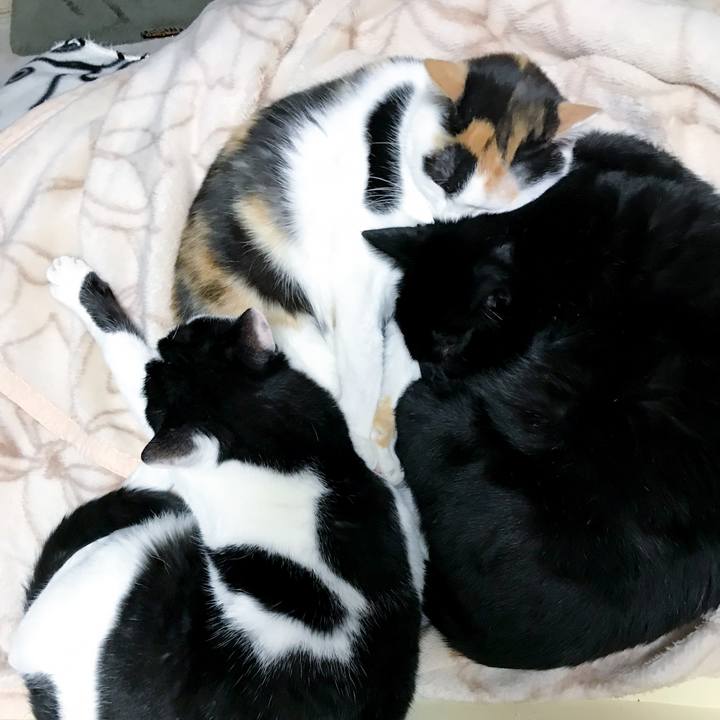 8f7da3b3 5074 480a a03c 68c7c86945d2 1514038133703