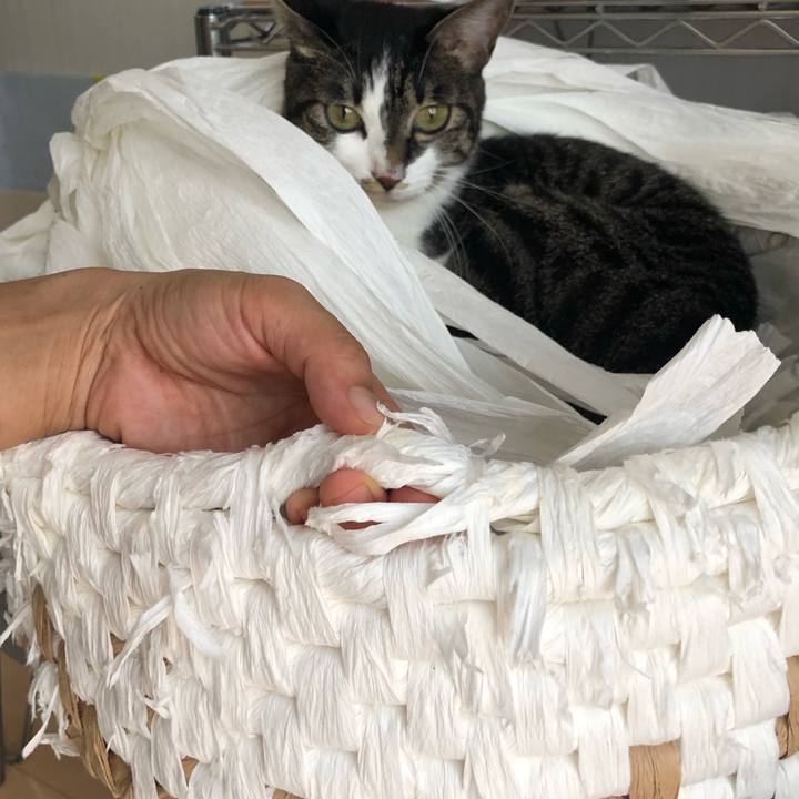 8f7da704 4b15 4722 ae00 30d68f30c667 1566266585846