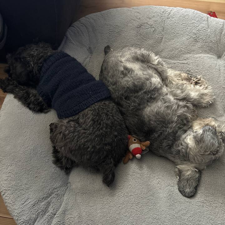 8f7dab72 f43a 4298 9c0f 57a84e72670b 1705375005167