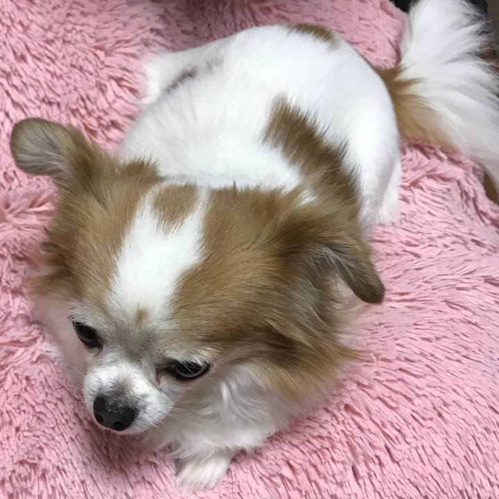 8f7db5e0 b3b7 432f 8e3b 28674fcf4f69 1554218341468