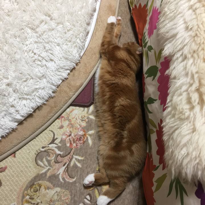 8f7decc4 1d25 4cc1 8e88 62e95bf0b4a9 1540250795227