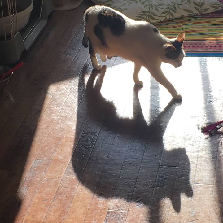 8f7e0f5d c932 4252 97ff 7e87ab2b34d2 1513043140472