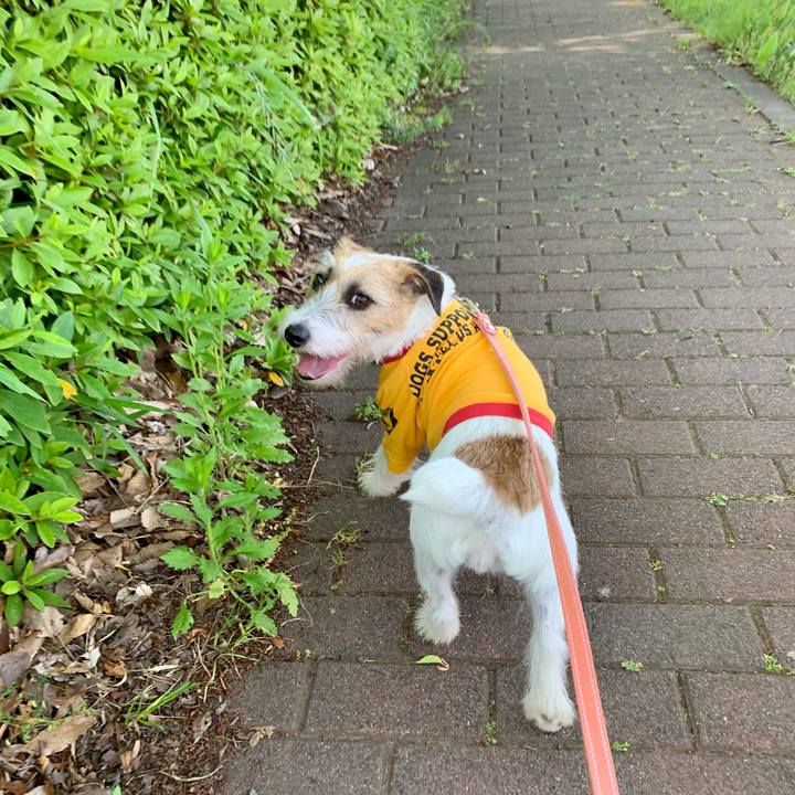 8f7e411f e9a2 4432 b846 861c796fc1fa 1621081342399