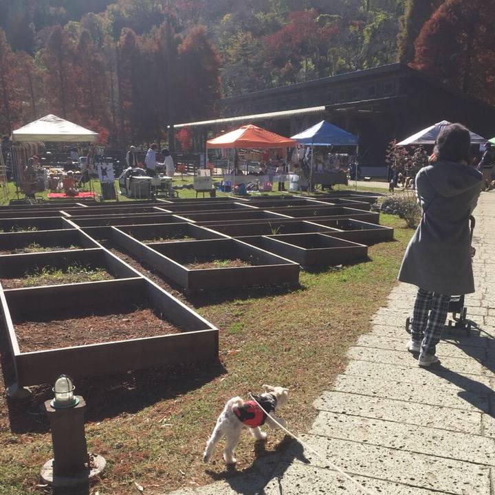 8f7e507c 4d78 47af 8b1f f6c04190b32e 1511092795831