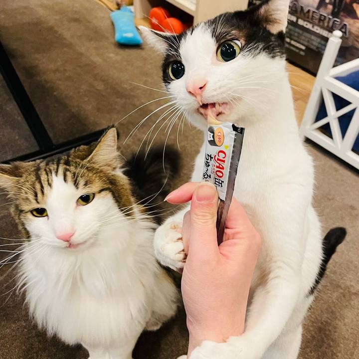 8f7e857e 5915 48a0 9bc0 ada35daf098a 1645266469950