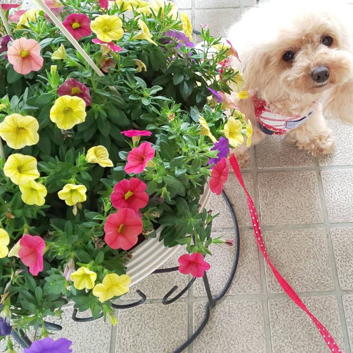 8f7ea70f 72c3 4584 9dbb 563e1e5b49ef 1589543210726