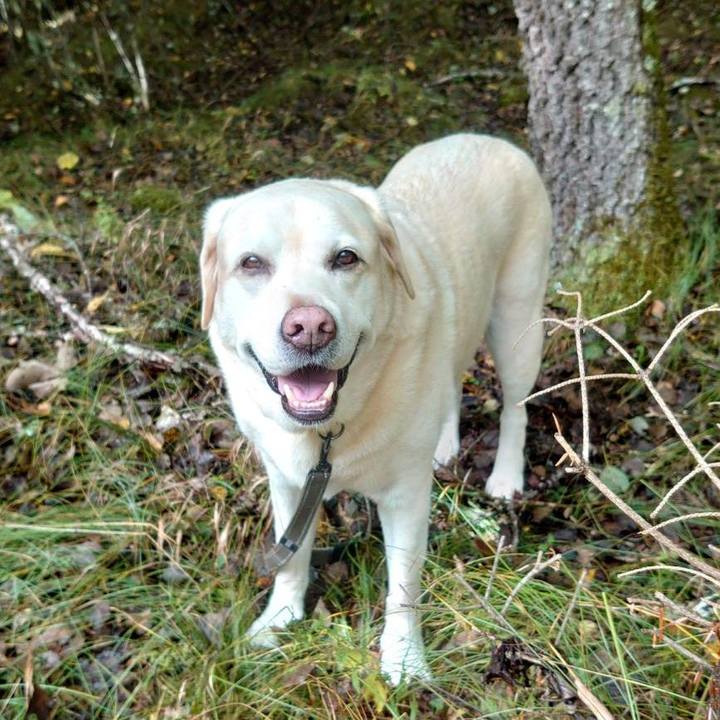 8f7ec80b 2bfd 4f46 acae d9a5d45575ed 1759759134589