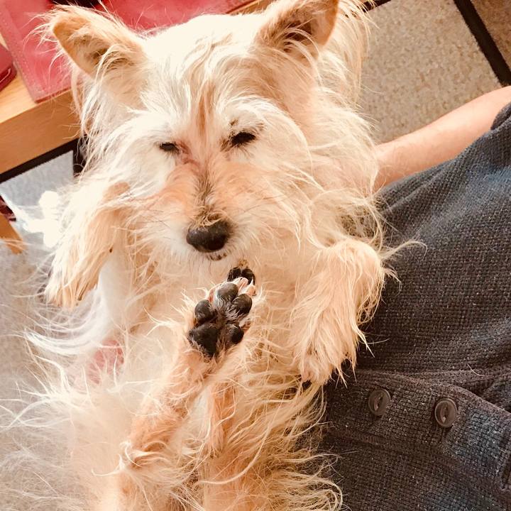 8f7efa71 4962 4bd0 9822 71bb7a8e0883 1515860725774